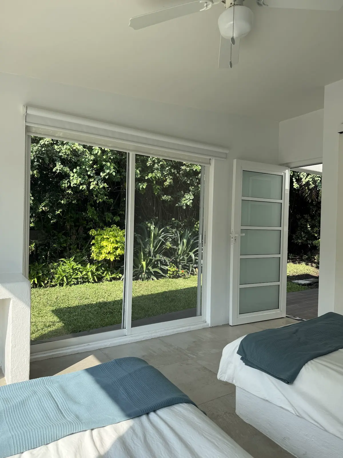 Casa Bugambilias · Naturaleza y alberca privada 23