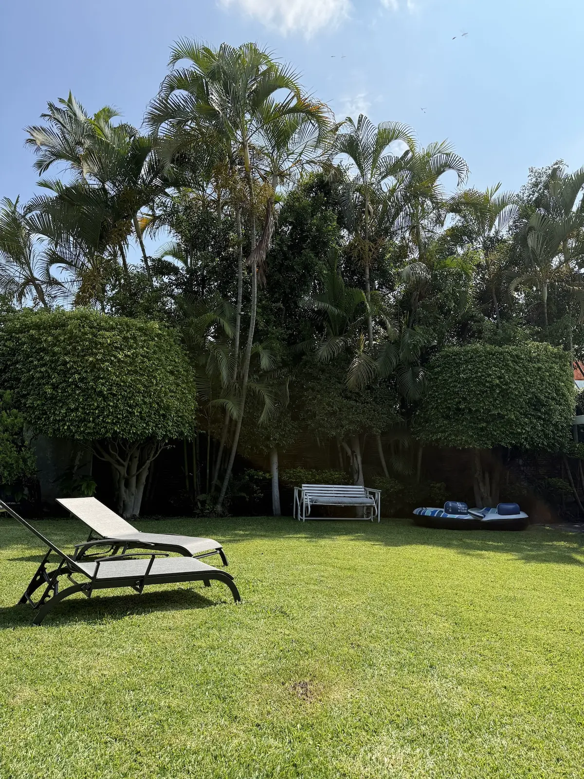 Casa Bugambilias · Naturaleza y alberca privada 31