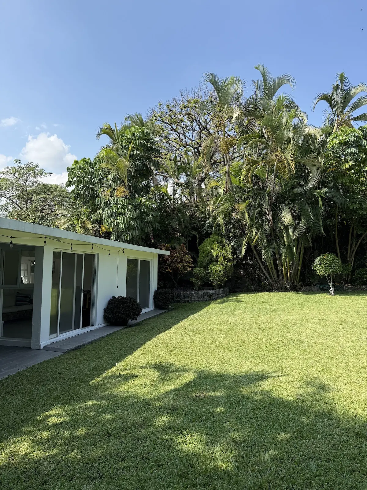 Casa Bugambilias · Naturaleza y alberca privada 32