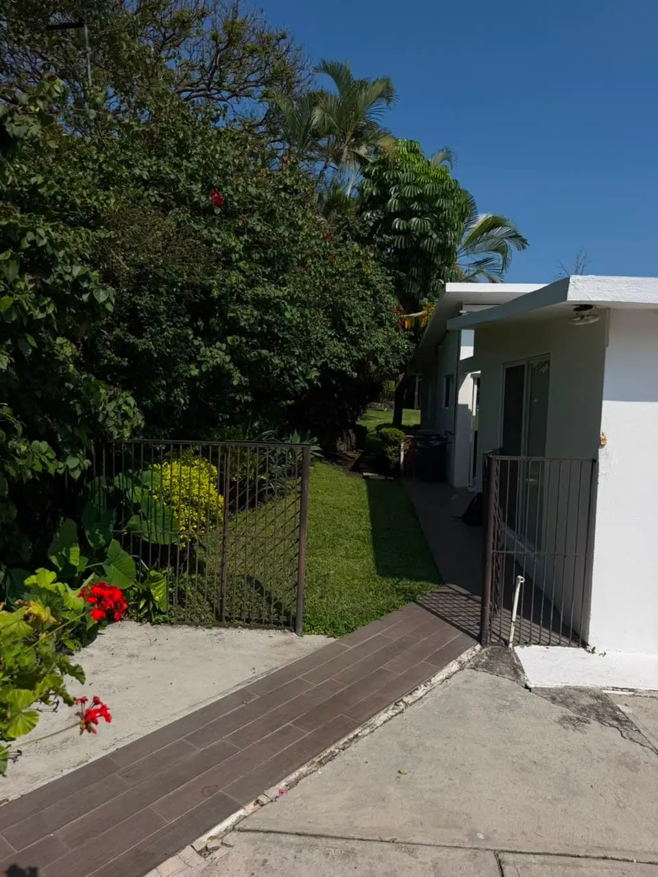 Casa Bugambilias · Naturaleza y alberca privada 33