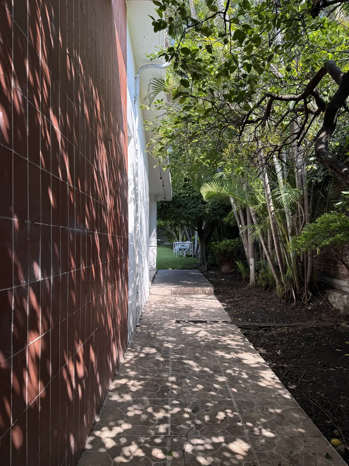 Casa Bugambilias · Naturaleza y alberca privada 34