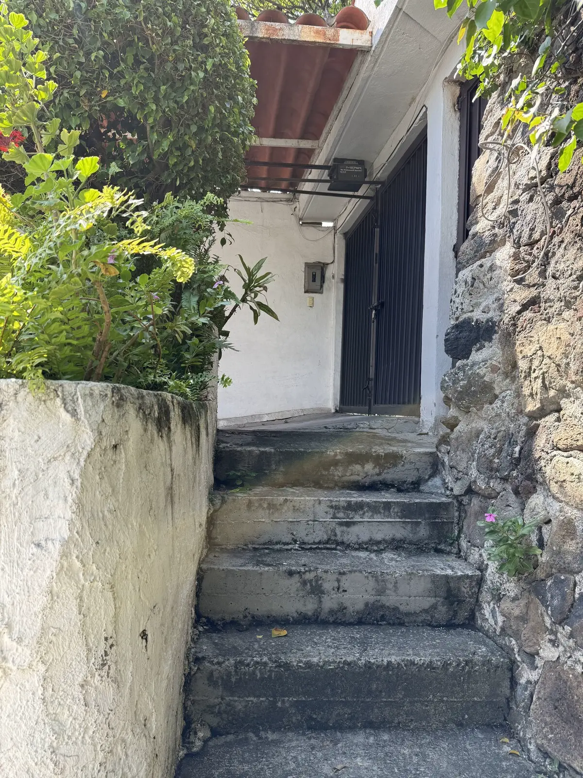 Casa Bugambilias · Naturaleza y alberca privada 35
