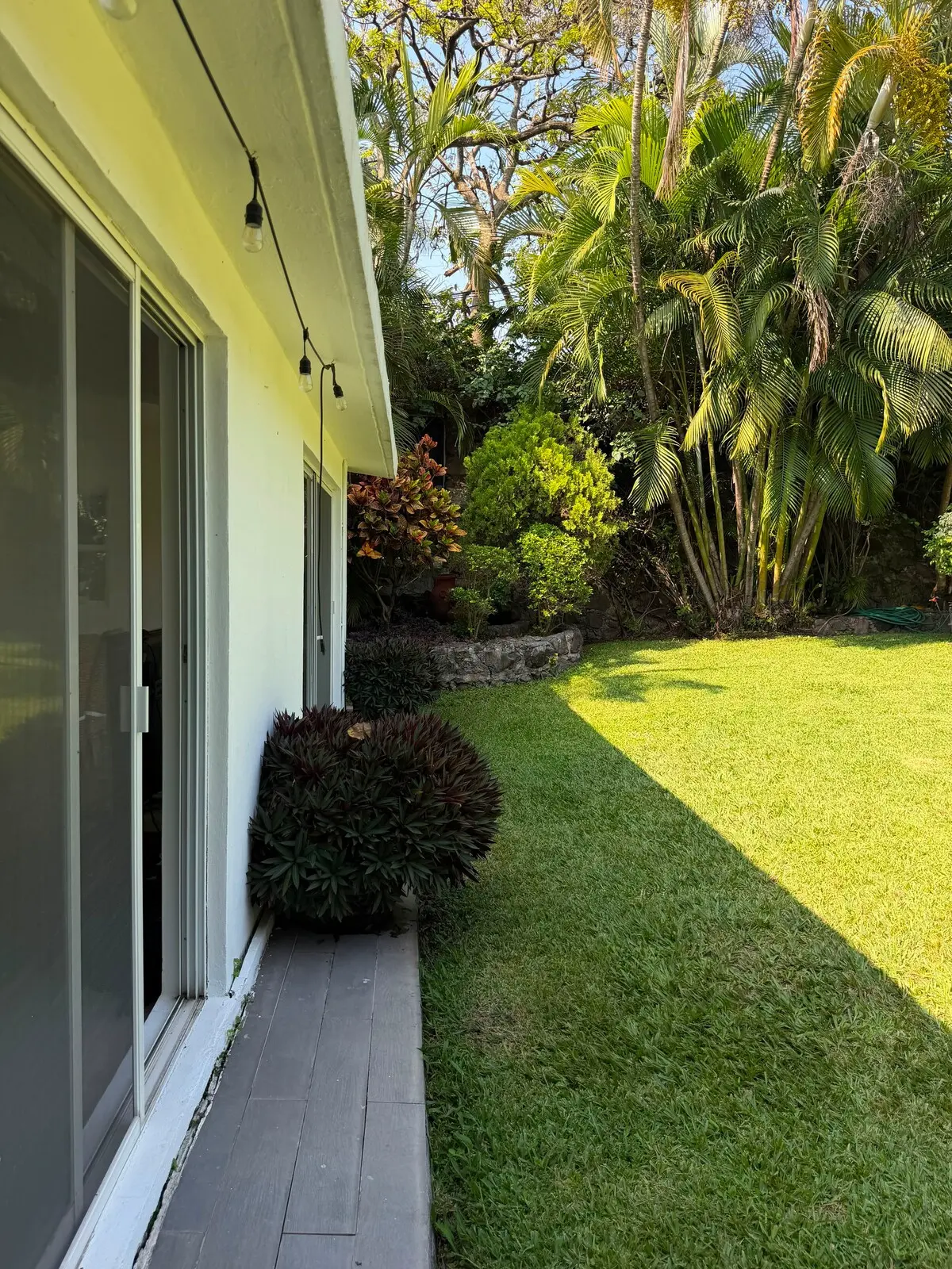 Casa Bugambilias · Naturaleza y alberca privada 37
