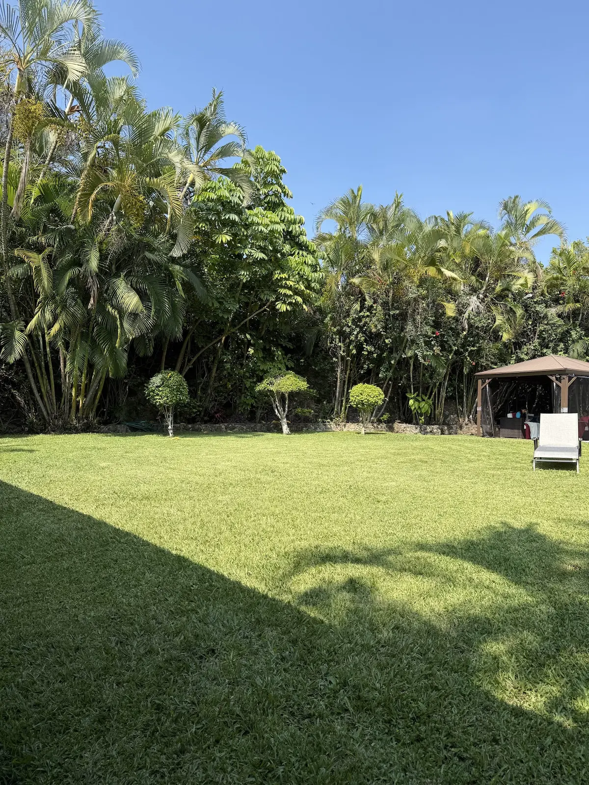 Casa Bugambilias · Naturaleza y alberca privada 38