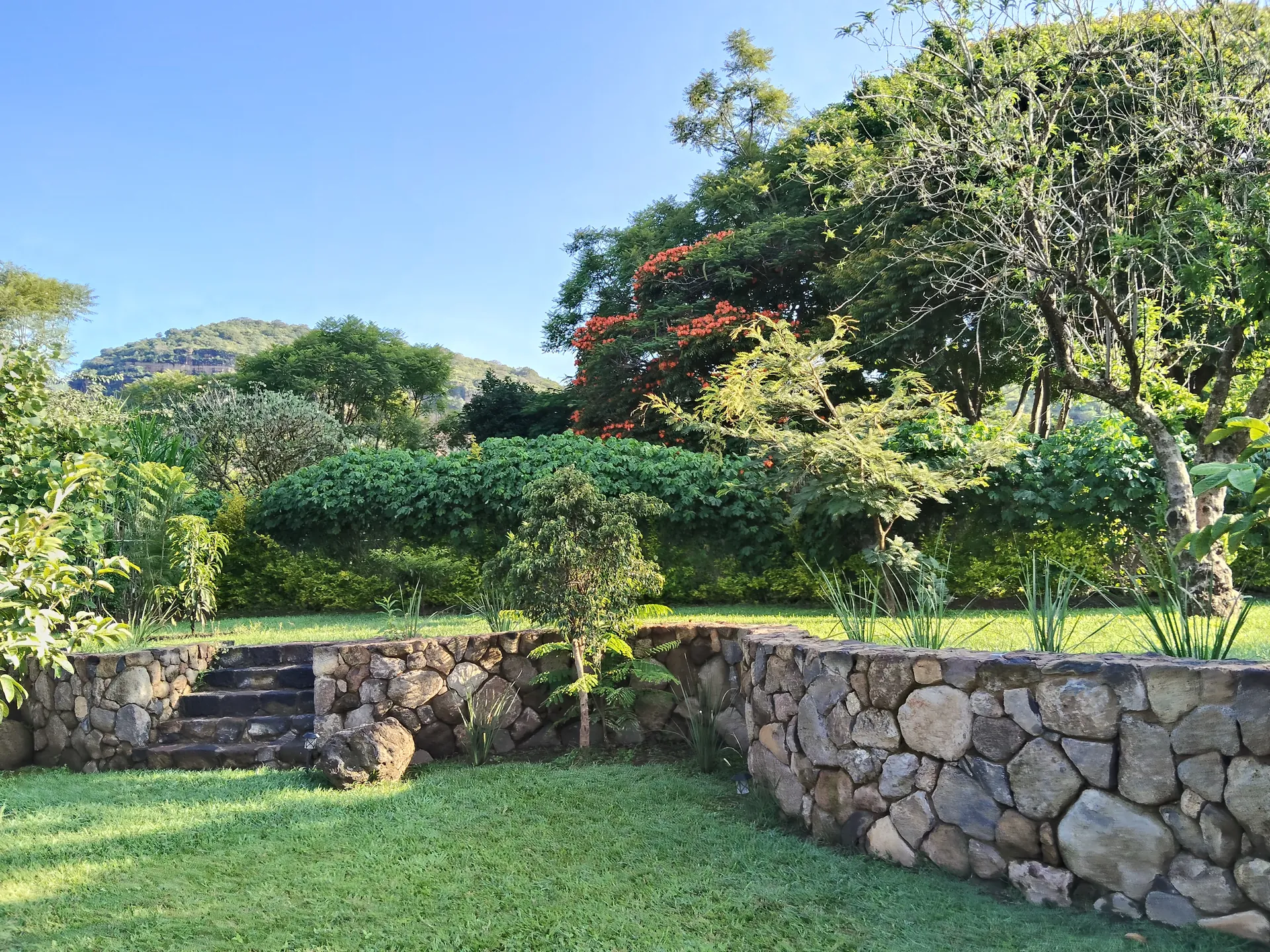 Casa Copal — Naturaleza y Reconexión 25