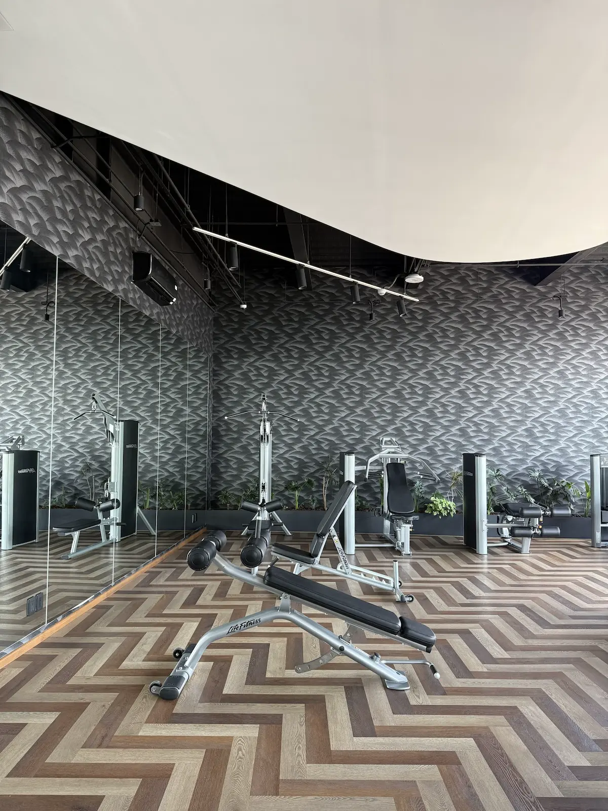 Loft Moderno en Reforma · Alberca, Gym y Jacuzzi 19