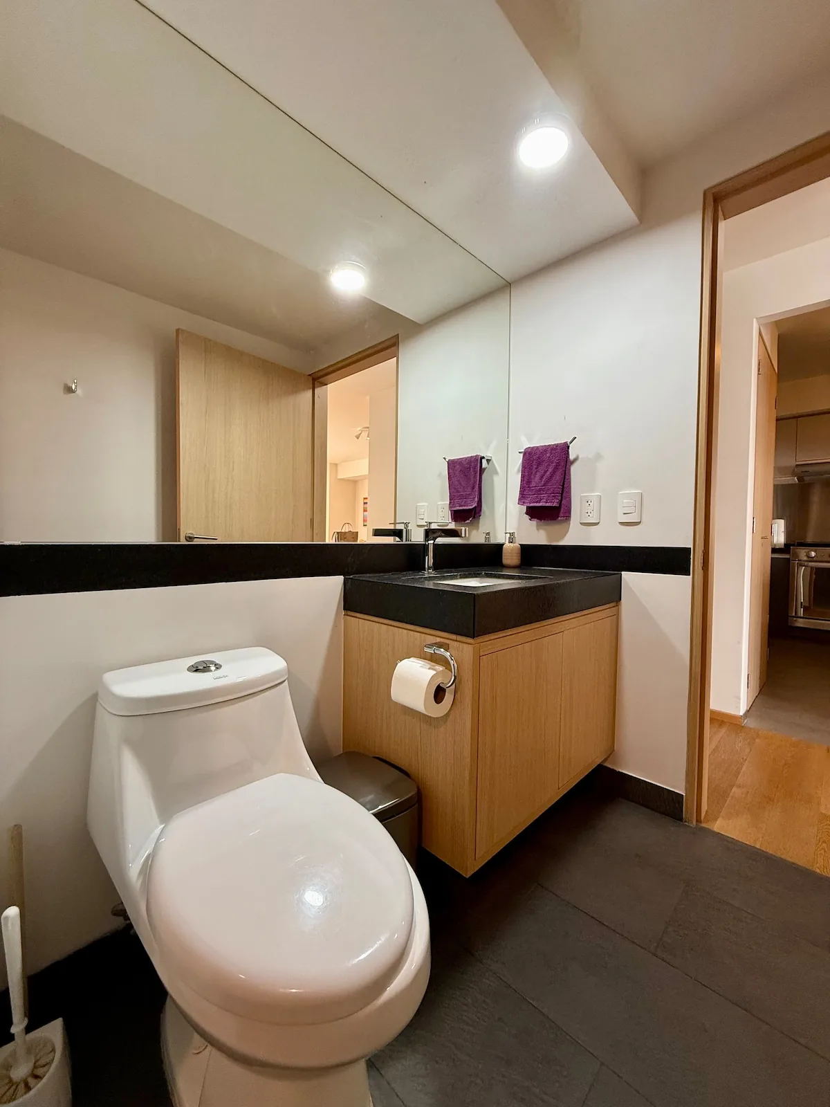 Nuevo Polanco: Depa 1 Rec con Terraza y Vista 14